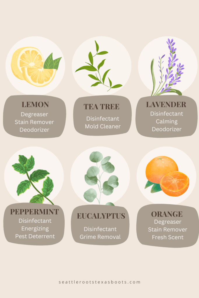 Essential oil lemon, tea tree, lavender, peppermint, eucalyptus and orange and how to clean house with them.