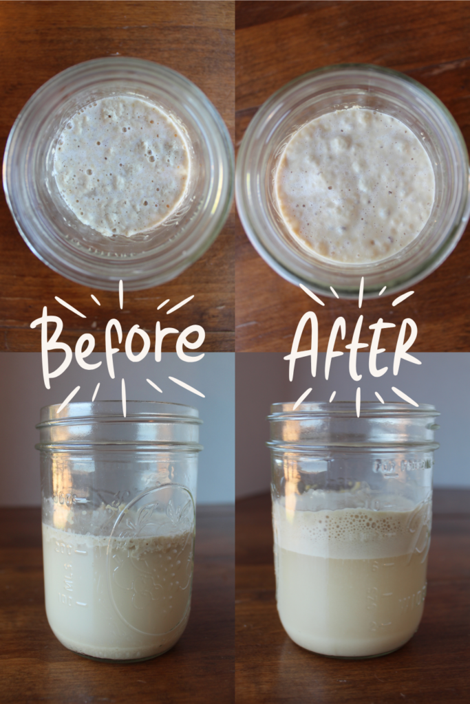 Before and after of yeast blooming on a counter.