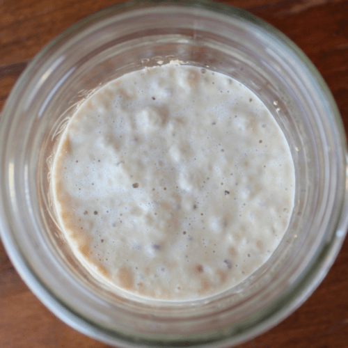 Blooming activated yeast in a mason jar on the counter.