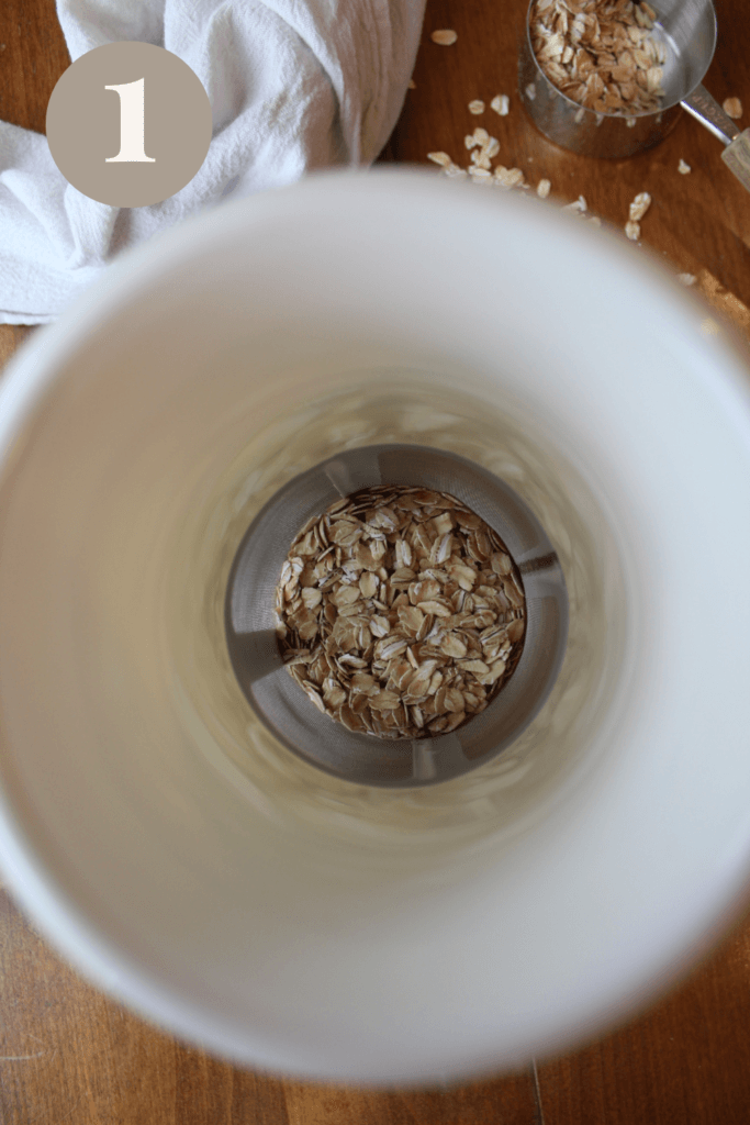 Oats poured into a Mylk master.